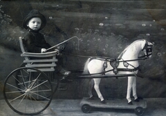 1903, Lugosi Szilvia, hobby horse, coach, kid, whip, child labour, Fortepan #159454