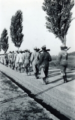 Magyarország,Balaton, Tihany, a partfalat bontásában résztvevők, az Önkéntes Munkaszolgálat Előd vezér munkatáborának diákjai., 1938, Hegedűs Anikó, Fortepan #159816