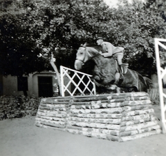 1935, Hegedűs Anikó, lovaglás, akadály, lovassport, Fortepan #159826