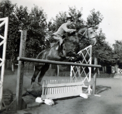 1935, Hegedűs Anikó, lovaglás, akadály, lovassport, Fortepan #159827