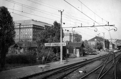 Horvátország, Zágráb, főpályaudvar (Zagrebački Glavni kolodvor / Zagreb Glavni kolodvor)., 1966, Lehoczky Feodóra, Fortepan #159991