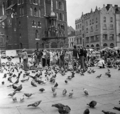 Lengyelország, Krakkó, Rynek Glówny a város főtere, háttérben a Mária-templom főbejárata., 1977, Kováts Lajos, templom, tér, Bazilika, katolikus, torony, gótika, galamb, tégla-gótika, Fortepan #16011