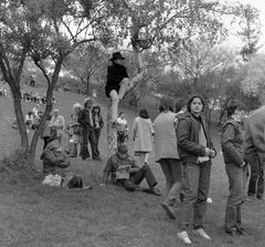 Hungary, Tabán, Budapest I., koncert., 1985, Kováts Lajos, Budapest, sitting on a tree, Fortepan #16014