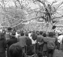 Hungary, Tabán, Budapest I., koncert., 1985, Kováts Lajos, Budapest, sitting on a tree, Fortepan #16015