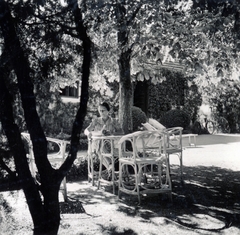 Magyarország,Balaton, Paloznak, Venyige utca, kúria és vincellérház, később Boda-Ponori Thewrewk nyaraló., 1938, Boda Balázs, hölgy, fény-árnyék, olvasás, kerti bútor, lomb, Fortepan #160497