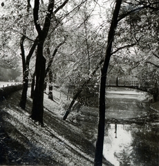 Magyarország, Városliget, Budapest XIV., Paál László út, szemben gyalogos híd a Vajdahunyad várához., 1938, Boda Balázs, Budapest, vízpart, tükröződés, fa, Fortepan #160511