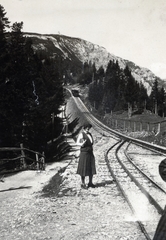 Ausztria, a Puchberg és Hochschneeberg között közlekedő fogaskerekű vasút, a Schneebergbahn. Baumgarten kitérős megállóhely., 1932, Boda Balázs, sínpálya, hegyoldal, Fortepan #160585