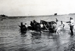 Hungary, Győr, a Magyar Királyi Török Ignác 2. honvéd utászzászlóalj gyakorlótere a Mosoni-Dunán és a mai Iparcsatorna torkolatánál., 1933, Boda Balázs, river, Horse-drawn carriage, Fortepan #160597