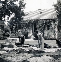 Magyarország,Balaton, Paloznak, Venyige utca, kúria és vincellérház, később Boda-Ponori Thewrewk nyaraló., 1939, Boda Balázs, bőrönd, pléd, Fortepan #160623