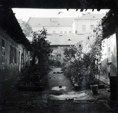 Hungary, Budapest II., a Gyorskocsi utca 24. számú ház udvara, háttérben a Medvei utcai iskola (később Csik Ferenc Általános Iskola és Gimnázium)., 1940, Boda Balázs, Budapest, flower bed, inner courtyard, Fortepan #160666