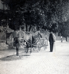 1937, Zsembery Bendegúz, Fortepan #160999