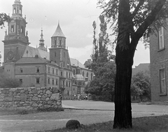 Poland, Kraków, Királyi Palota (Wawel)., 1958, Szent-tamási Mihály, freestone, monument, Fortepan #16103