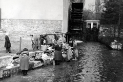 Hungary, Tata, Miklós-malom., 1957, Márk Iván, women, washing, Fortepan #161373