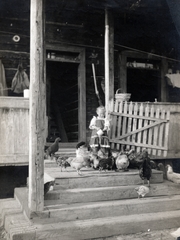 1920, Korbuly család, stairs, girl, feeding, poultry, Fortepan #161578