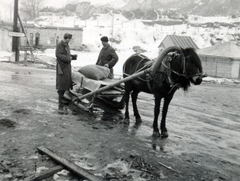 Ukrajna, 1942, Kiss Endre, szánkó, Fortepan #161928