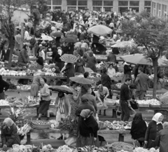 Magyarország, piactér, üzletsor a Zrinyi Miklós utca - Zárda utca találkozásánál., 1971, MHSZ, piac, esernyő, kofa, fejkendő, Fortepan #16196