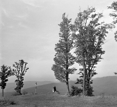 1958, Kotnyek Antal, landscape, wood, Fortepan #16210