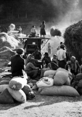 Hungary, Bükkszentkereszt, cséplés., 1957, Buvári Ágnes, agriculture, sack, Fortepan #162155