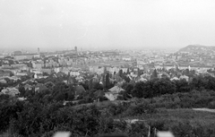 Magyarország, Budapest XII.,Budapest I., Kissvábhegy (Martinovics-hegy), kilátás a budai Vár és a Gellért-hegy felé., 1955, Kotnyek Antal, Budapest, látkép, Fortepan #16217