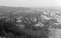 Magyarország, Budapest XII., Kissvábhegy (Martinovics-hegy), kilátás a Csaba utca felső végétől a Városmajor felé. A rét aljánál a Goldmark Károly utca., 1955, Kotnyek Antal, Budapest, látkép, Fortepan #16218