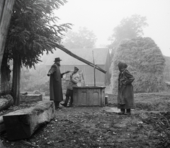 1955, Kotnyek Antal, village, well, genre painting, shadoof, rain, Fortepan #16256