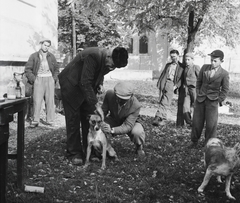 Magyarország, Szabadszentkirály, Petőfi Sándor utca, kutyák veszettség elleni beoltása a Községi Tanács (később Községháza) előtt, háttérben a Szent István király templom., 1954, Kotnyek Antal, Ráth Károly, templom, kutya, életkép, oltás, Fortepan #16268