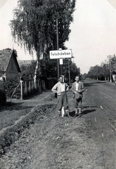 Hungary, Dabas, Felsődabas (ekkor önálló ma a város része), Fő út a település határában., 1940, Szántó István dr., board, Fortepan #162883