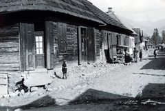 1940, Szántó István dr., shingle, blockhouse, Fortepan #163005