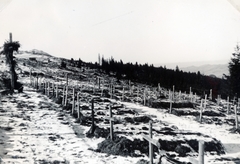 Romania,Transylvania, Radnai-havasok (Munții Rodnei), Borsai-hágó (Pasul Prislop), I. világháborús temető., 1940, Szántó István dr., grave, Fortepan #163060