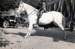 Az amerikai Glaurer's Royal Midgets, liliputi emberek társulata, európai turnén. Bagi Gábor jazz zenész., 1932, Gödér Hajnal, ló, lovas, lószerszám, törpenövés, lovaglás, Fortepan #163249