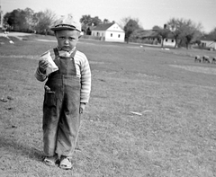 1958, Kurutz Márton, portrait, kid, meadow, Fortepan #16339