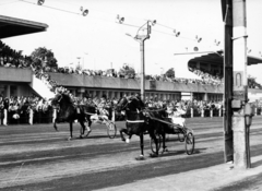 Hungary, Budapest VIII., Kerepesi úti Ügetőpálya, balra az I. helyi tribün, jobbra a II. helyi tribün., 1976, Kopátsy Sándor, horse race, Budapest, harness racing, Fortepan #163412