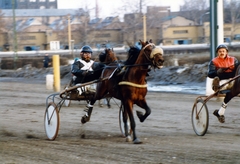 Hungary, Budapest VIII., Kerepesi úti Ügetőpálya., 1987, Kopátsy Sándor, colorful, harness racing, Budapest, Fortepan #163481