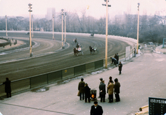 Magyarország, Budapest VIII., Kerepesi úti Ügetőpálya., 1981, Kopátsy Sándor, lóverseny, Budapest, Fortepan #163493