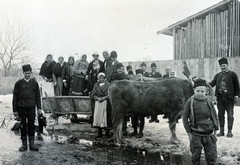 1917, Wittner Lucia, Fortepan #163499