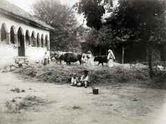 1917, Wittner Lucia, Fortepan #163540