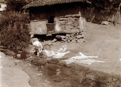 1917, Wittner Lucia, Fortepan #163545