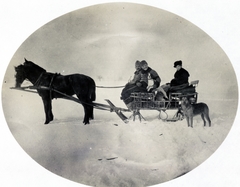 1917, Wittner Lucia, dog, horse-drawn sleigh, Fortepan #163640