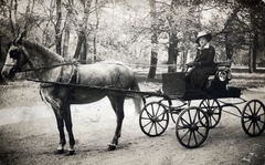 1918, Artkraft, Horse-drawn carriage, Fortepan #164045