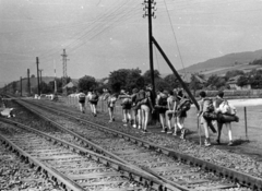 Hungary, a vasútállomás délnyugati része, a bányához vezető iparvágány kiágazásánál., 1969, Faragó László, Fortepan #164757