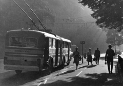 Magyarország, Budapest VIII., Horváth Mihály tér a Baross utca felé nézve., 1966, Herpay Gábor, buszmegálló, trolibusz, Budapest, Fortepan #164982