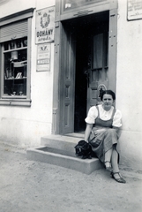 Hungary, Fertőd, (Eszterháza)., 1940, Bors Anikó, girl, Dachshund, hardware store, Fortepan #165195