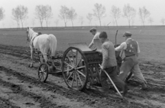 Magyarország, 1950, Magyar Rendőr, ló, földművelés, vetőgép, Fortepan #16574