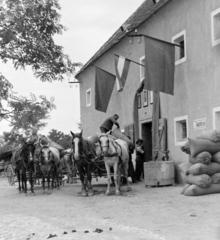 Magyarország, Polgárdi, termény begyűjtése., 1950, Magyar Rendőr, zászló, ló, szekér, zsák, beszolgáltatás, Fortepan #16604