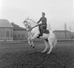 Magyarország, Budapest X., Kerepesi út, a Budapesti Államrendőrség (később a Készenléti Rendőrség) laktanyája., 1950, Magyar Rendőr, ló, lovas, lovaglás, Budapest, Fortepan #16631