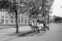 Magyarország, Budapest XIII., Lehel (Élmunkás) tér. A villamos takarásában a Ferdinánd (Élmunkás) híd felhajtója és a volt 1. sz. Vámhivatal épülete., 1952, Magyar Rendőr, ló, lovaskocsi, utcakép, villamos, kocsis, Budapest, Fortepan #16789