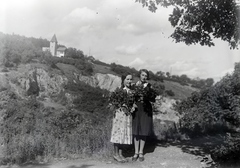 Magyarország, Pécs, kilátás a mai Balázs pihenő közeléből, a háttérben a Vámos Mihály turistaház (Vándor kulcsosház)., 1934, Privát Fotó és Film Archívum-Höfler Tibor gyűjtemény, Fortepan #170378