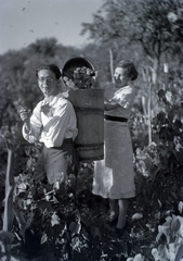 1936, Privát Fotó és Film Archívum-Höfler Tibor gyűjtemény, harvest, wooden butte, Fortepan #170410