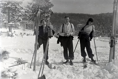 1936, Privát Fotó és Film Archívum-Höfler Tibor gyűjtemény, skis, three people, Fortepan #170411