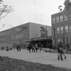 Magyarország, Óbuda, Budapest III., Kerék utca 18-20. Ilku Pál Általános Iskola (később Kerék Általános Iskola és Gimnázium)., 1975, Péterffy István, iskola, Budapest, Fortepan #170600